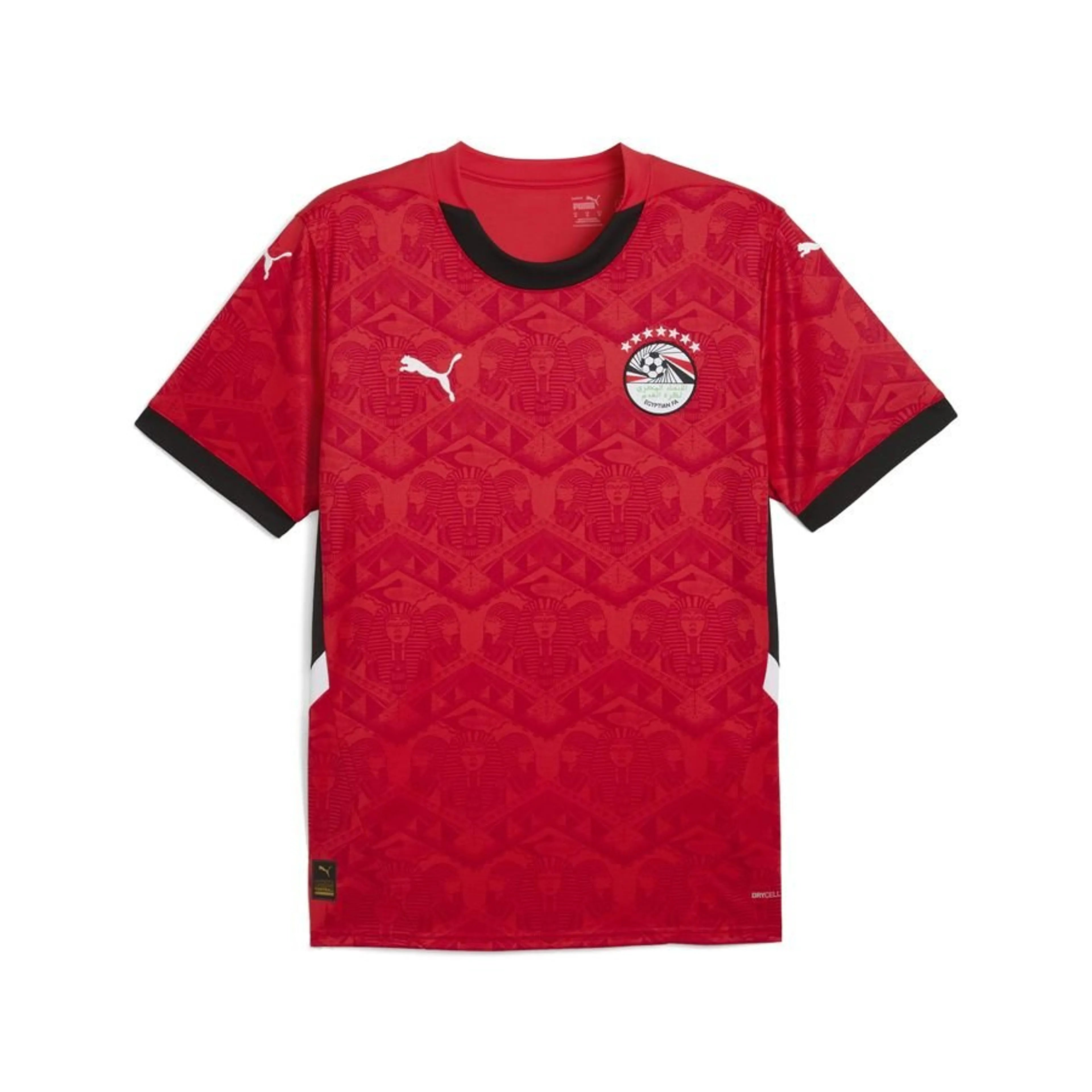 Maillot Egypte Domicile
